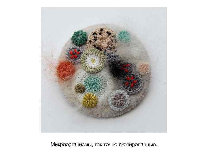 Микроорганизмы, так точно скопированные. 