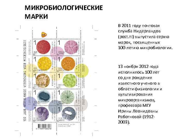 МИКРОБИОЛОГИЧЕСКИЕ МАРКИ В 2011 году почтовая служба Нидерландов (post. nl) выпустила серию марок, посвященных