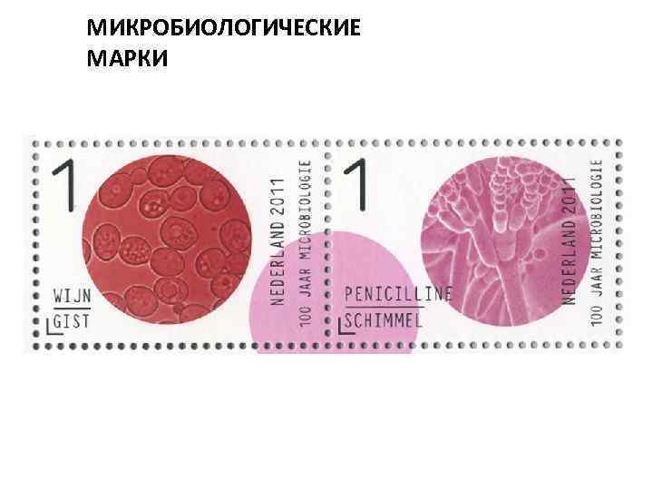 МИКРОБИОЛОГИЧЕСКИЕ МАРКИ 