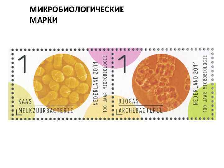 МИКРОБИОЛОГИЧЕСКИЕ МАРКИ 