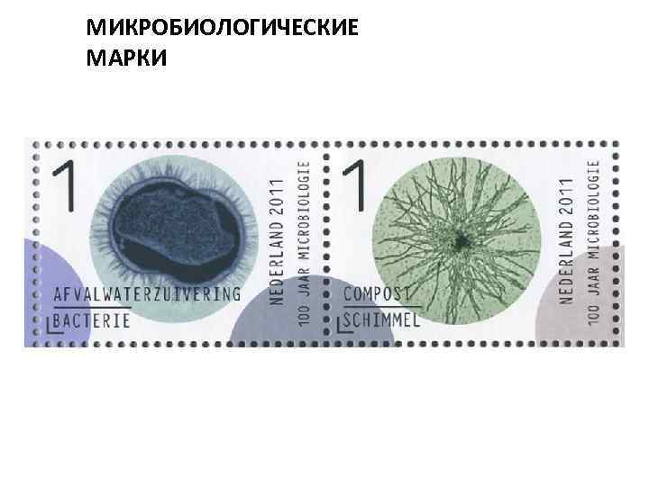 МИКРОБИОЛОГИЧЕСКИЕ МАРКИ 