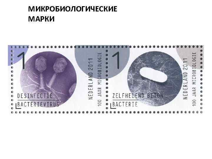 МИКРОБИОЛОГИЧЕСКИЕ МАРКИ 