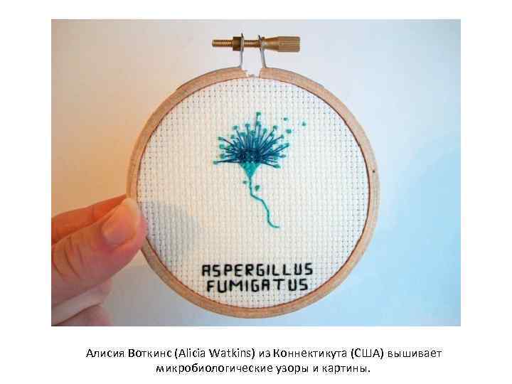 Алисия Воткинс (Alicia Watkins) из Коннектикута (США) вышивает микробиологические узоры и картины. 