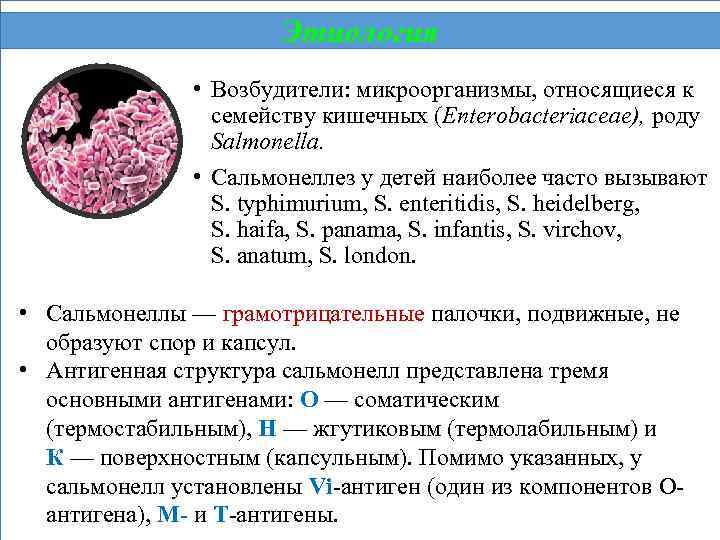 Этиология • Возбудители: микроорганизмы, относящиеся к семейству кишечных (Enterobacteriaceae), роду Salmonella. • Сальмонеллез у