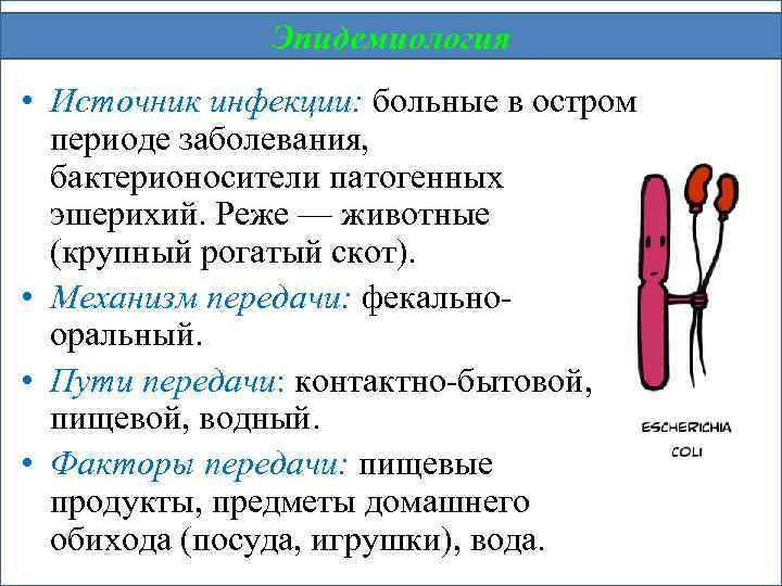 Эпидемиология • Источник инфекции: больные в остром периоде заболевания, бактерионосители патогенных эшерихий. Реже —