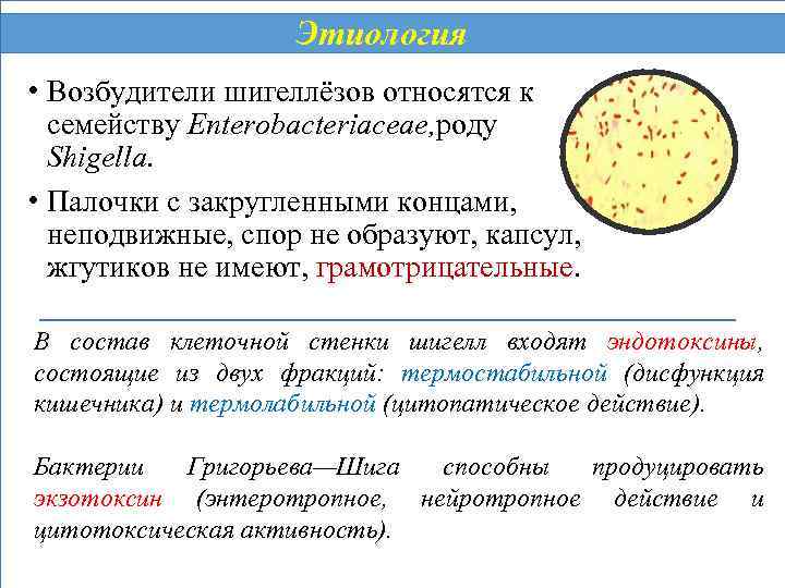 Этиология • Возбудители шигеллёзов относятся к семейству Enterobacteriaceae, роду Shigella. • Палочки с закругленными