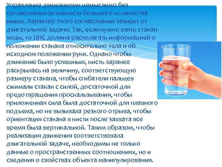 Управление движениями немыслимо без согласования активности большого количества мышц. Характер этого согласования зависит от