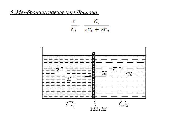 5. Мембранное равновесие Доннана. 