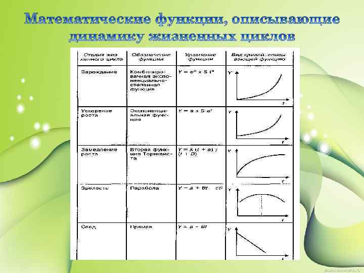 Математические функции, описывающие динамику жизненных циклов 