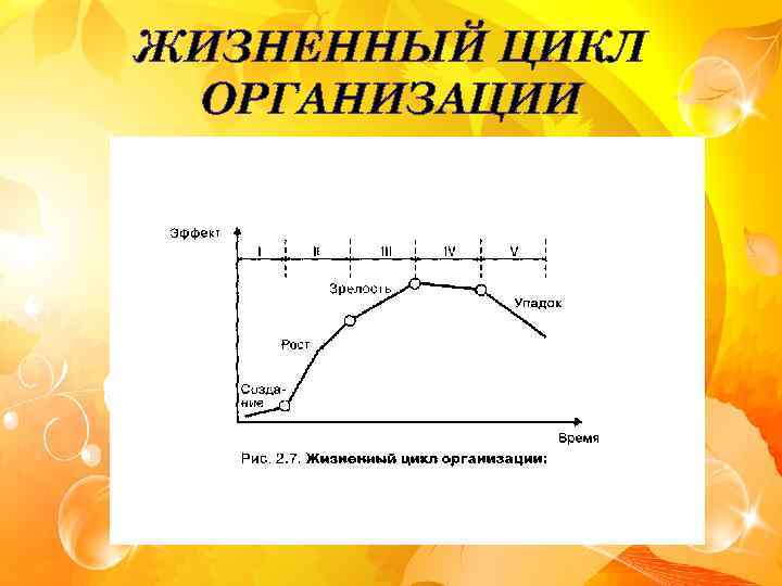 ЖИЗНЕННЫЙ ЦИКЛ ОРГАНИЗАЦИИ 