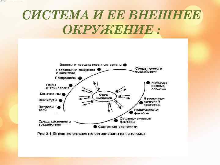 СИСТЕМА И ЕЕ ВНЕШНЕЕ ОКРУЖЕНИЕ : 