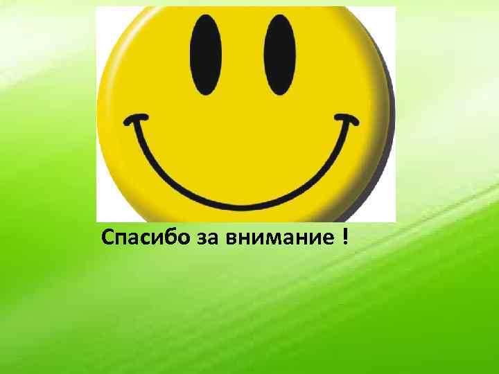 Спасибо за внимание ! 