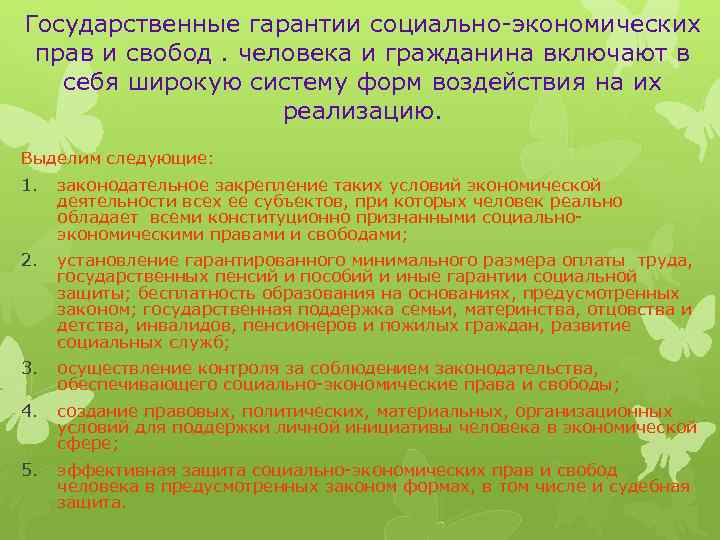 Государственные гарантии социально-экономических прав и свобод. человека и гражданина включают в себя широкую систему