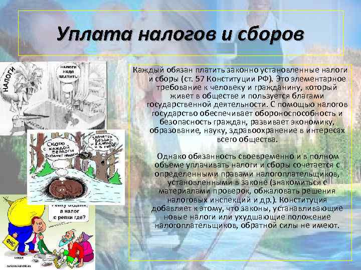 Уплата налогов и сборов Каждый обязан платить законно установленные налоги и сборы (ст. 57