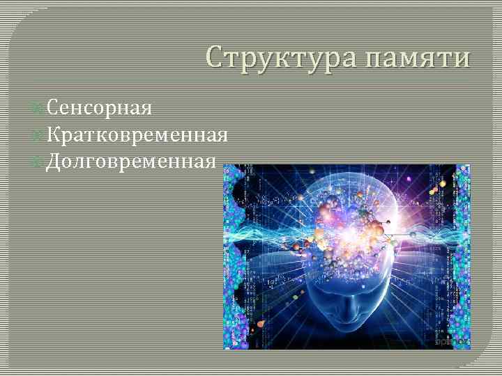 Представления о памяти как структуре оперативная сенсорная кратковременная долговременная