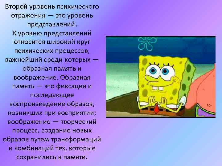 Второй уровень психического отражения — это уровень представлений. К уровню представлений относится широкий круг