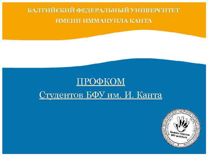 Балтийский федеральный университет имени иммануила канта учебные планы