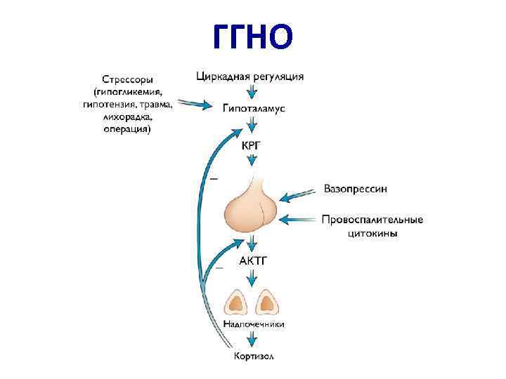 ГГНО 