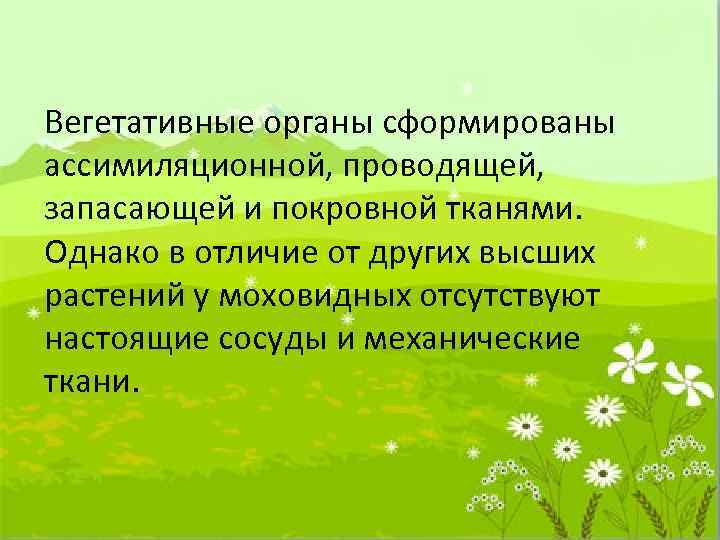 Вегетативные органы сформированы ассимиляционной, проводящей, запасающей и покровной тканями. Однако в отличие от других