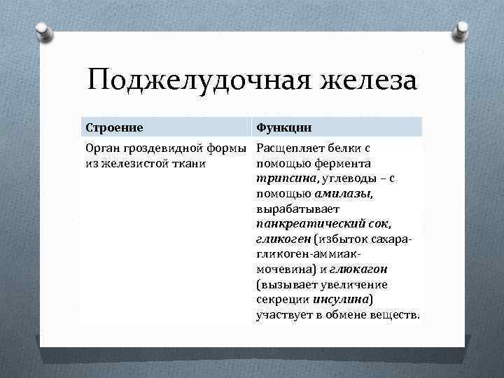 Поджелудочная железа Строение Функции Орган гроздевидной формы Расщепляет белки с из железистой ткани помощью