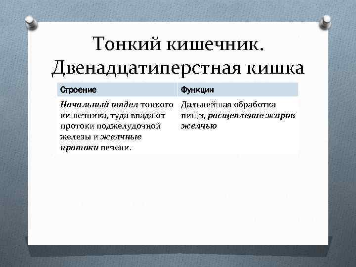 Тонкий кишечник. Двенадцатиперстная кишка Строение Функции Начальный отдел тонкого Дальнейшая обработка кишечника, туда впадают