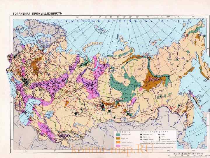 Выполнила : Буденская Екатерина 6 