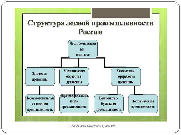 Анализ лесного комплекса