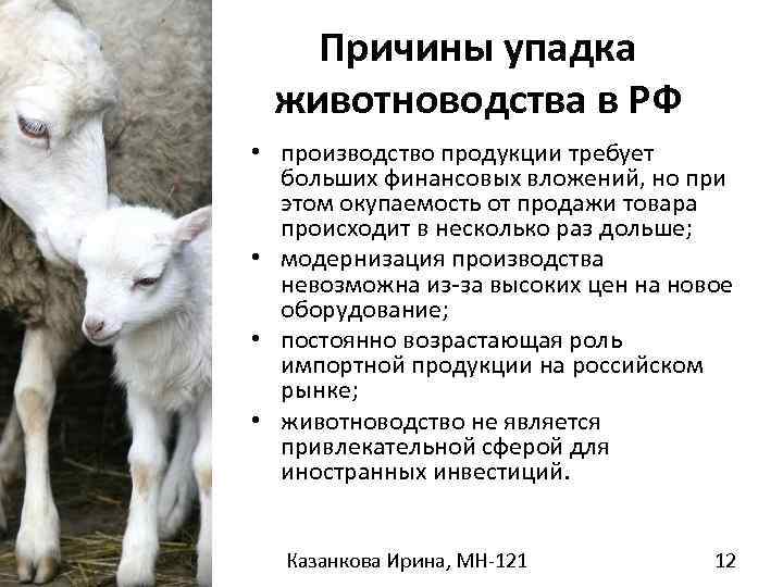 Объем производства продукции животноводства