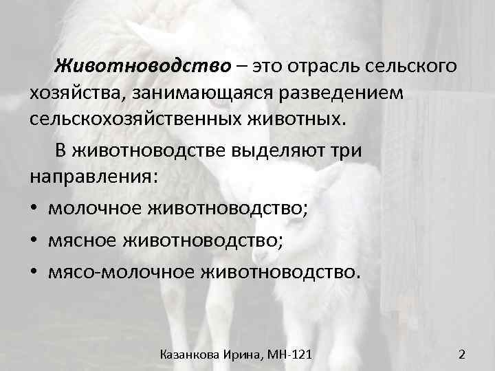 Животноводство – это отрасль сельского хозяйства, занимающаяся разведением сельскохозяйственных животных. В животноводстве выделяют три