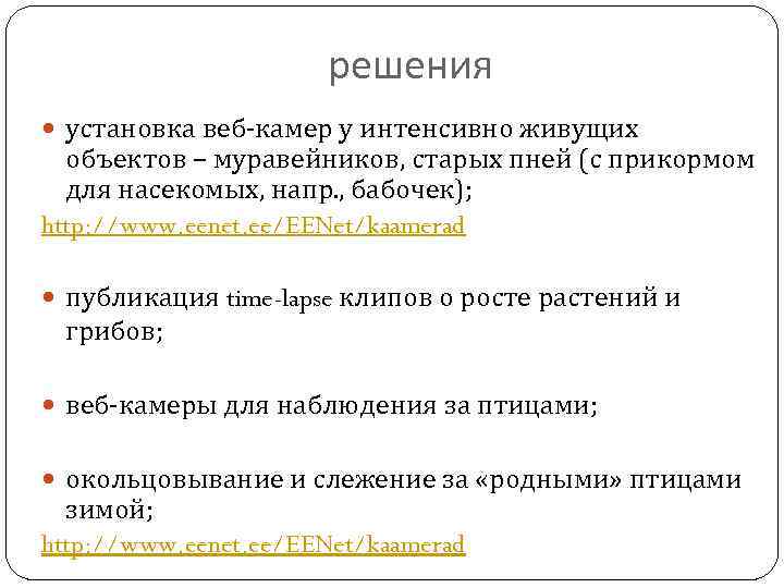 решения установка веб-камер у интенсивно живущих объектов – муравейников, старых пней (с прикормом для