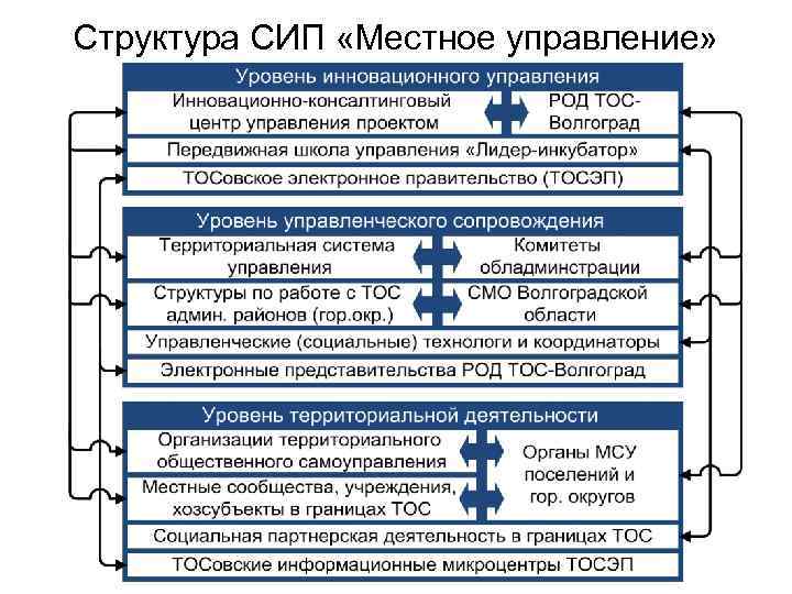 Структура СИП «Местное управление» 