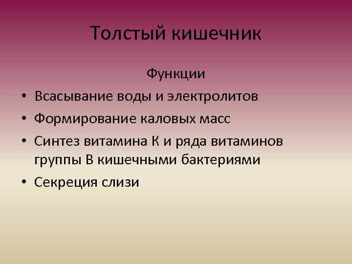 Толстый кишечник • • Функции Всасывание воды и электролитов Формирование каловых масс Синтез витамина