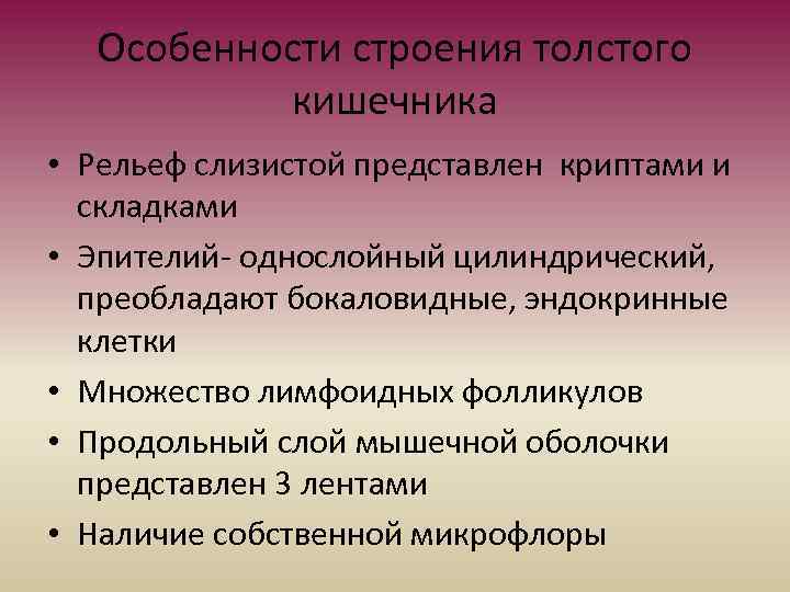 Особенности строения толстого кишечника • Рельеф слизистой представлен криптами и складками • Эпителий- однослойный