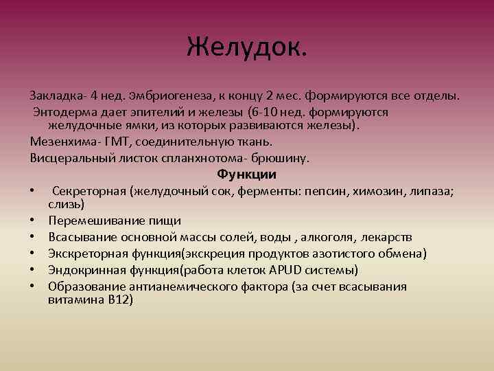 Желудок. Закладка- 4 нед. эмбриогенеза, к концу 2 мес. формируются все отделы. Энтодерма дает