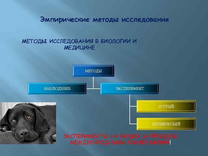 Эмпирические методы исследования МЕТОДЫ ИССЛЕДОВАНИЯ В БИОЛОГИИ И МЕДИЦИНЕ МЕТОДЫ НАБЛЮДЕНИЕ ЭКСПЕРИМЕНТ ОСТРЫЙ ХРОНИЧЕСКИЙ