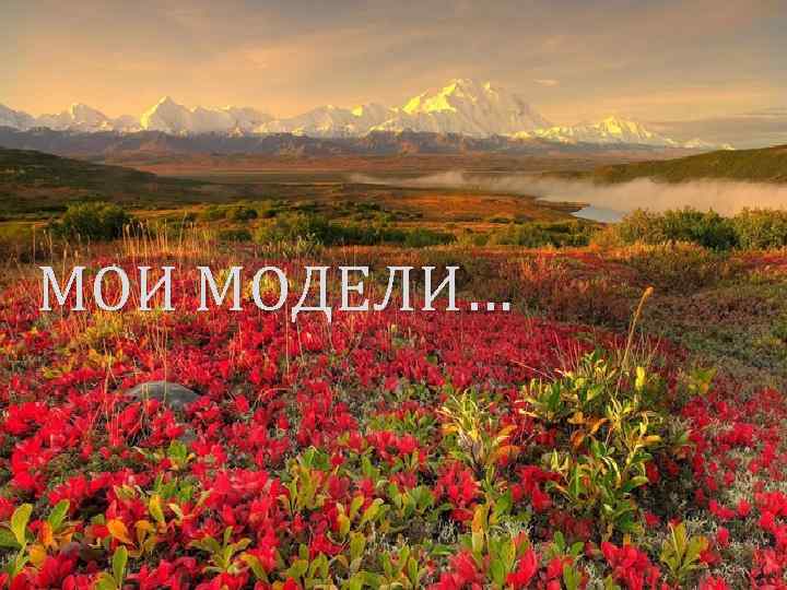 МОИ МОДЕЛИ… 
