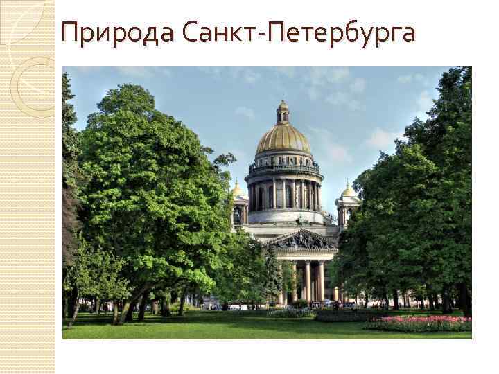 Природа Санкт-Петербурга 