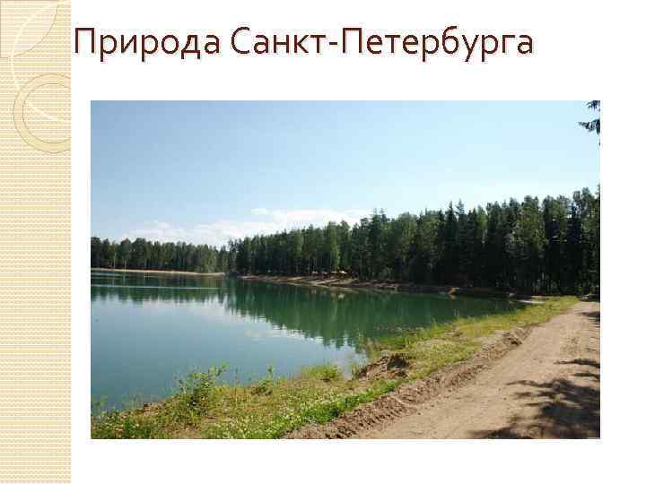 Природа Санкт-Петербурга 