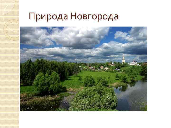 Природа Новгорода 