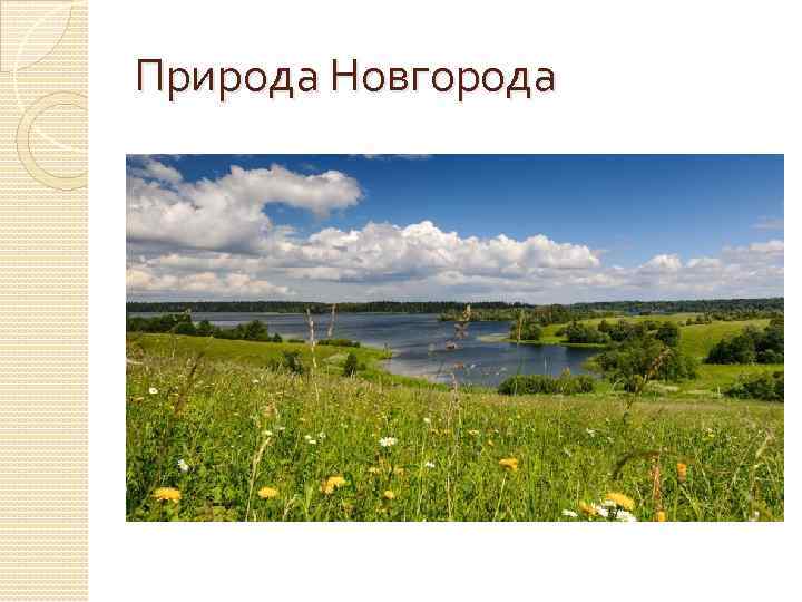 Природа Новгорода 