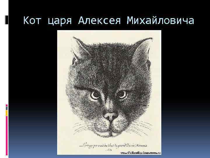 Кот царя Алексея Михайловича 