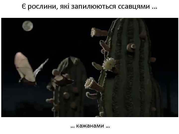 Є рослини, які запилюються ссавцями … Весняні переважно нестатеві квітки … кажанами … 