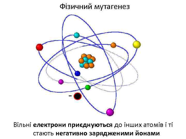 Фізичний мутагенез Вільні електрони приєднуються до інших атомів і ті стають негативно зарядженими йонами