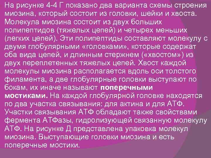  На рисунке 4 -4 Г показано два варианта схемы строения миозина, который состоит