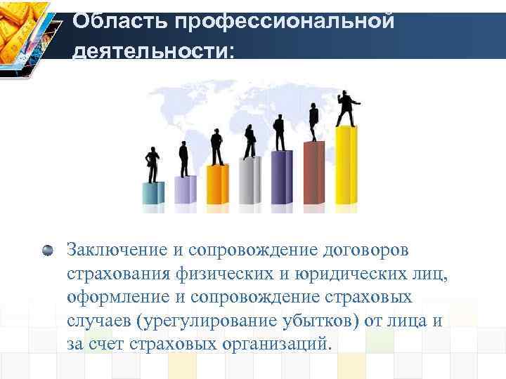 Область профессиональной деятельности: 2008 по настоящее время 2004 1989 - 2008 Заключение и сопровождение