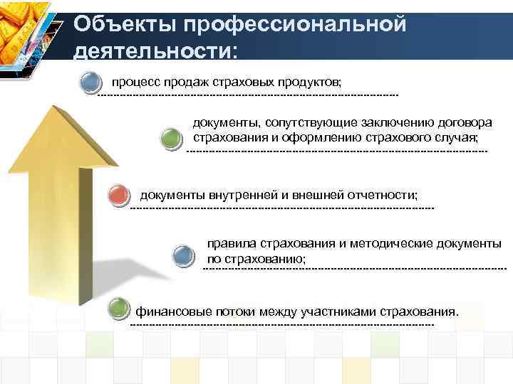 Объекты профессиональной деятельности: процесс продаж страховых продуктов; документы, сопутствующие заключению договора страхования и оформлению