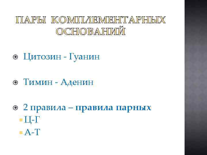  Цитозин - Гуанин Тимин - Аденин 2 правила – правила парных Ц-Г A-T