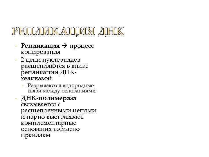  • • Репликация процесс копирования 2 цепи нуклеотидов расщепляются в вилке репликации ДНКхеликазой