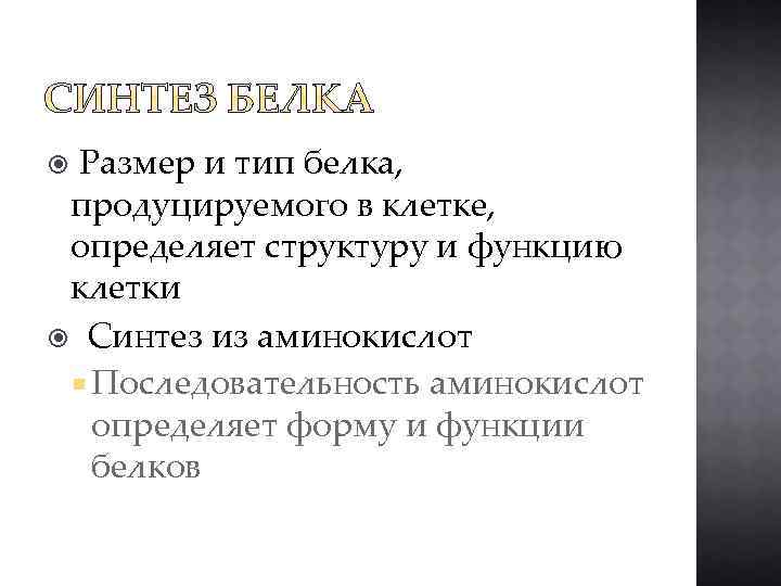 Размер и тип белка, продуцируемого в клетке, определяет структуру и функцию клетки Синтез из
