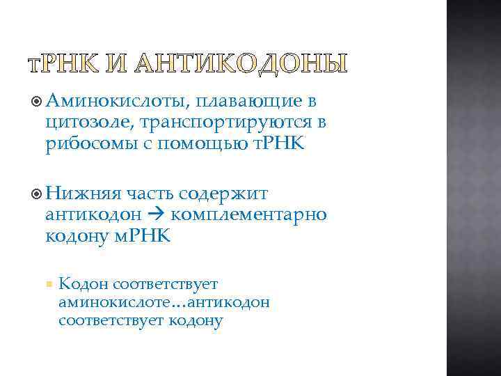 Аминокислоты, плавающие в цитозоле, транспортируются в рибосомы с помощью т. РНК Нижняя часть